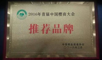 设立中国品牌日 农产品品牌崛起的新机遇与出入境服务优化