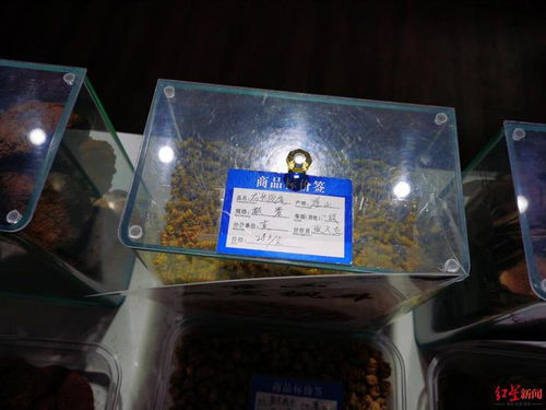 服务区高价鹿茸鹿鞭引争议，高速公司表态严查整改